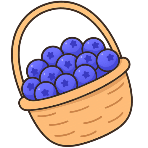 Blueberry Basket