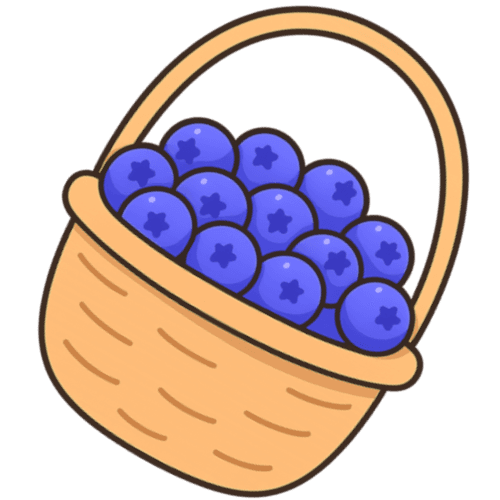 Blueberry Basket